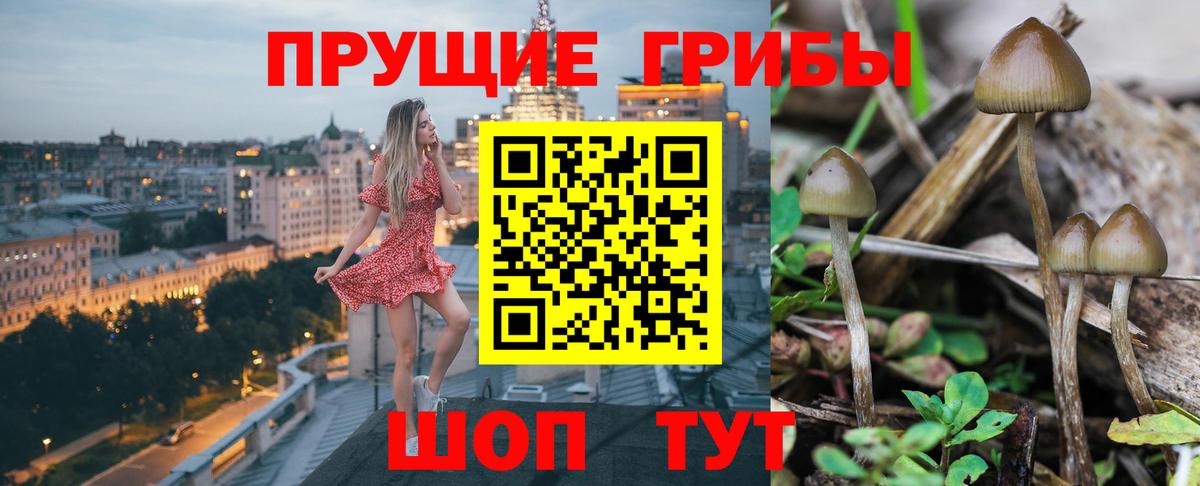 Галлюциногенные грибы ЛСД Севастополь